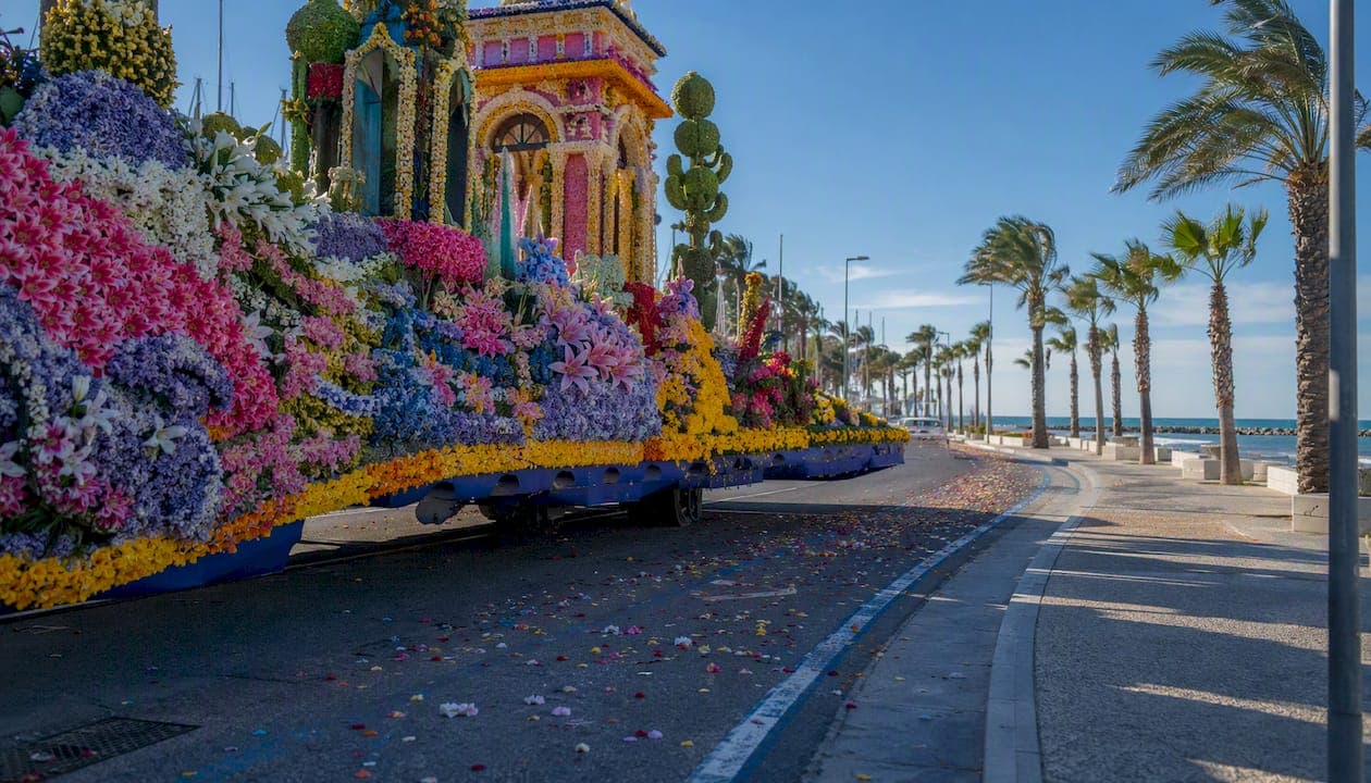 Sanremo in Fiore 2026: guida pratica per partecipare