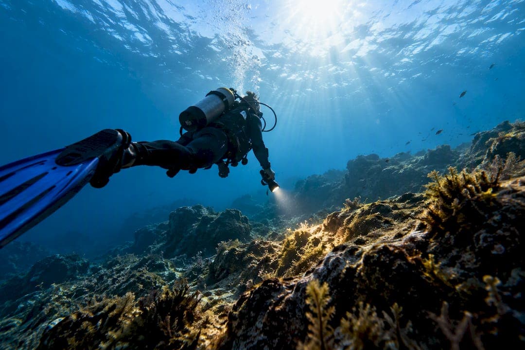 Diving Sanremo: centri, siti e checklist per prenotare