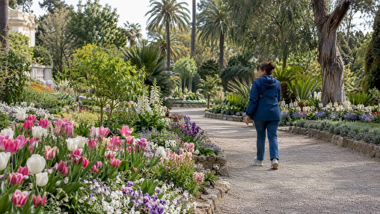 Sanremo in primavera: fioriture, eventi e gite da non perdere